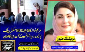 مریم نواز کا 5 ہزار 800 سکول پبلک پرائیویٹ پارٹنرشپ کے تحت دینے کا اعلان