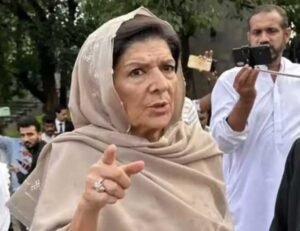 سب تحریک پر فوکس کریں، سلیمان اور قاسم بھی حصہ لینا چاہتے ہیں: علیمہ خان