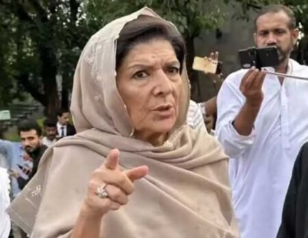سب تحریک پر فوکس کریں، سلیمان اور قاسم بھی حصہ لینا چاہتے ہیں: علیمہ خان