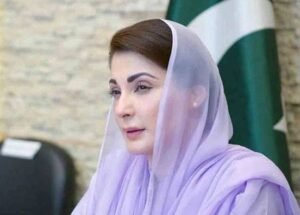 نواسہ رسولؐ کی جدوجہد ظلم و جبر کیخلاف سینہ سپر ہونے کا ابدی پیغام ہے: مریم نواز