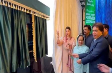 پنجاب میں ترقیاتی منصوبے ریکارڈ مدت میں مکمل کئے، ٹیم کو شاباش دیتی ہوں: مریم نواز