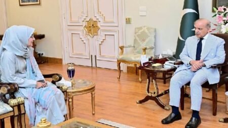 حکومت ڈاکٹر عافیہ صدیقی کے معاملے میں کسی طور غافل نہیں: وزیراعظم