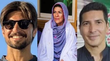 علیمہ خان کے بیٹے شاہ ریز کا 8 روزہ جسمانی ریمانڈ منظور، دوسرا بیٹا شیر شاہ بھی گرفتار