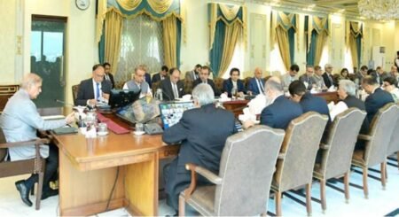 وفاقی حکومت کا 24 سرکاری اداروں کی تین مراحل میں نجکاری کا فیصلہ