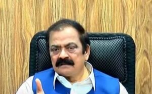 سینیٹ الیکشن : رانا ثناء اللہ اور سلمیٰ اعجاز کے کاغذات نامزدگی منظور